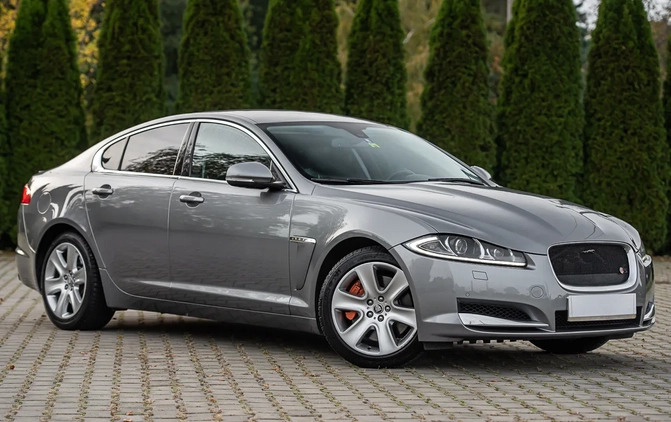 Jaguar XF cena 56900 przebieg: 177123, rok produkcji 2013 z Żmigród małe 436